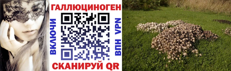 MEGA зеркало Новоржев Галлюциногенные грибы Magic Shrooms
