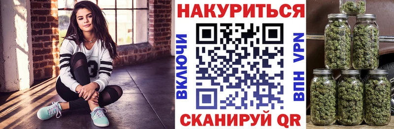 Шишки марихуана семена  Новоржев 